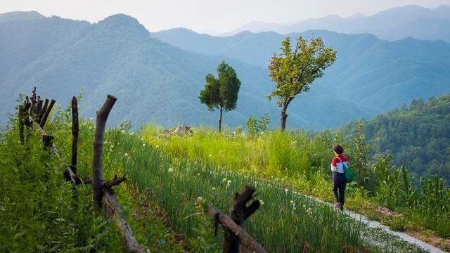 {賭波}(端午旅游景点推荐)
